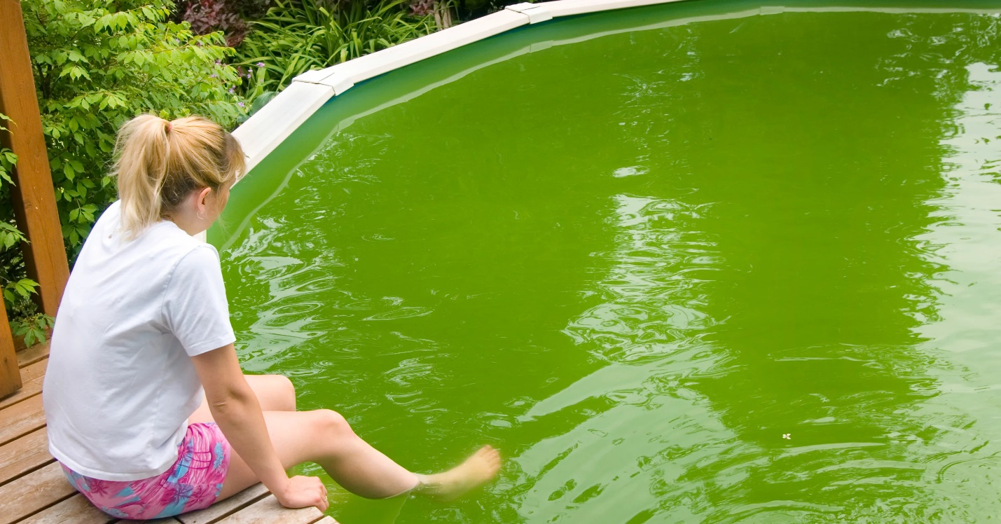 People Are Pooping In Public Pools As Part Of A New 'Viral Trend'