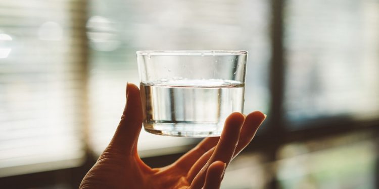 person holding clear glass cup with half-filled water