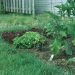 Designing a garden path