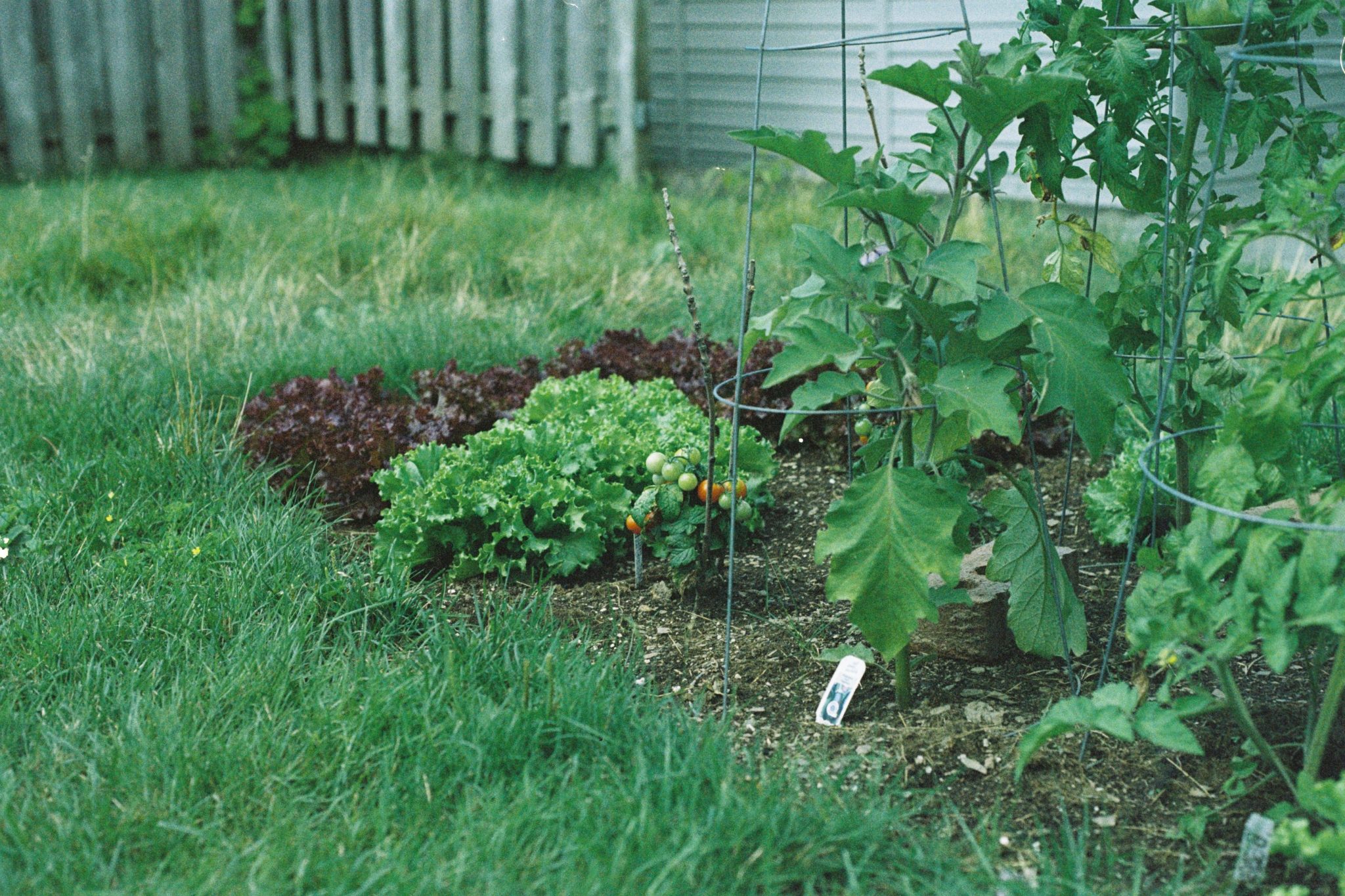 Designing a garden path