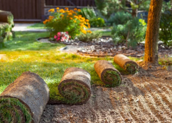 Choosing the Right Sod Company in Florida for Grass Sod Installation