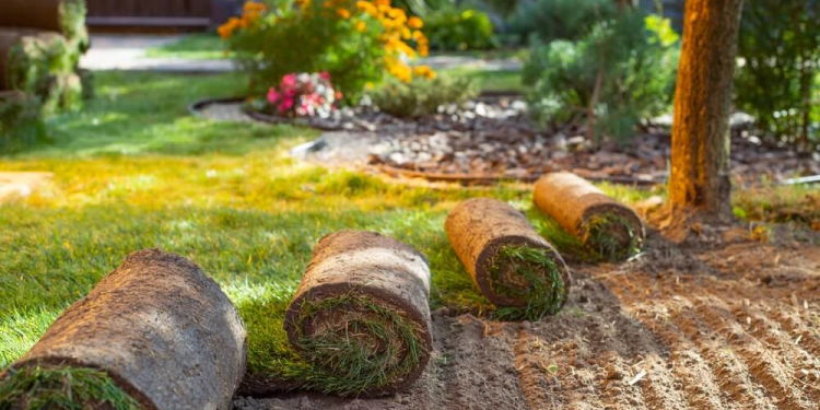 Choosing the Right Sod Company in Florida for Grass Sod Installation