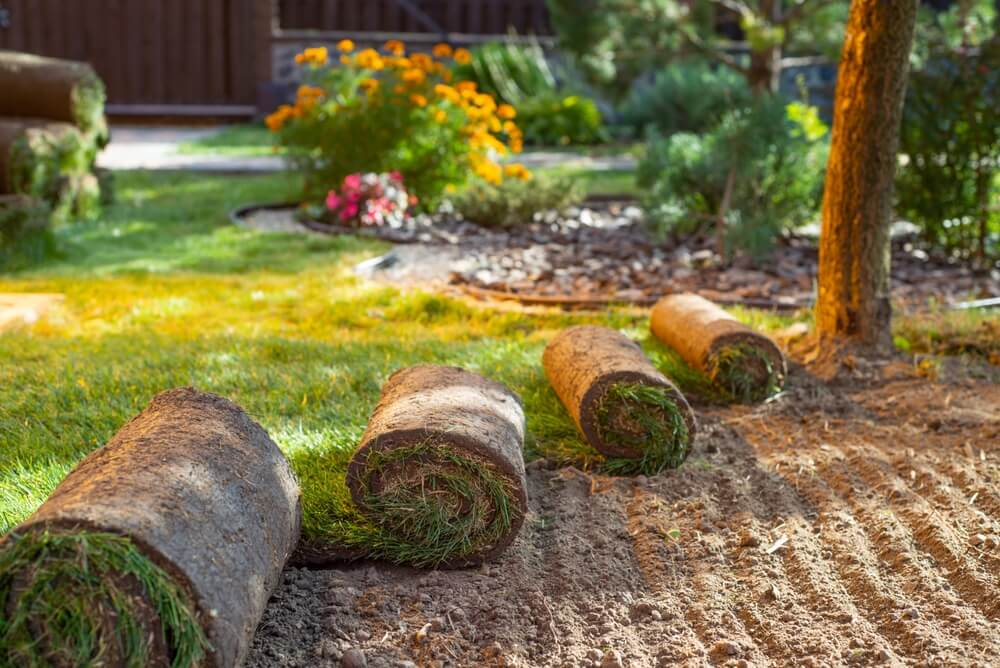 Choosing the Right Sod Company in Florida for Grass Sod Installation