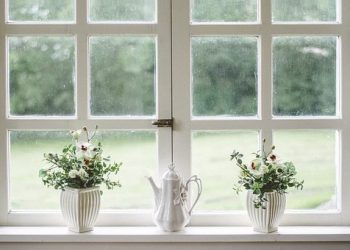 White, Window, Glass, Shield, Frame