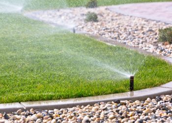 Know Your Zone: How a Sprinkler System Is Crucial for a Lush Lawn