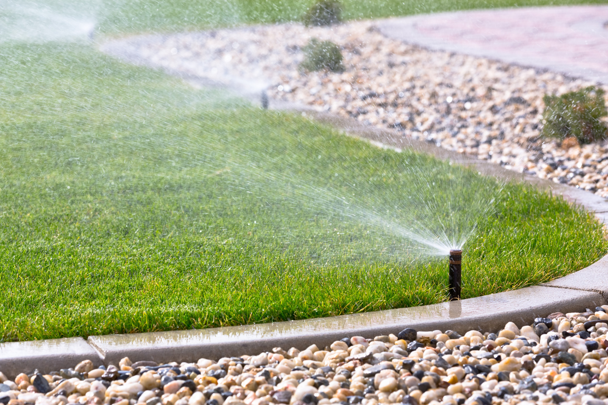 Know Your Zone: How a Sprinkler System Is Crucial for a Lush Lawn
