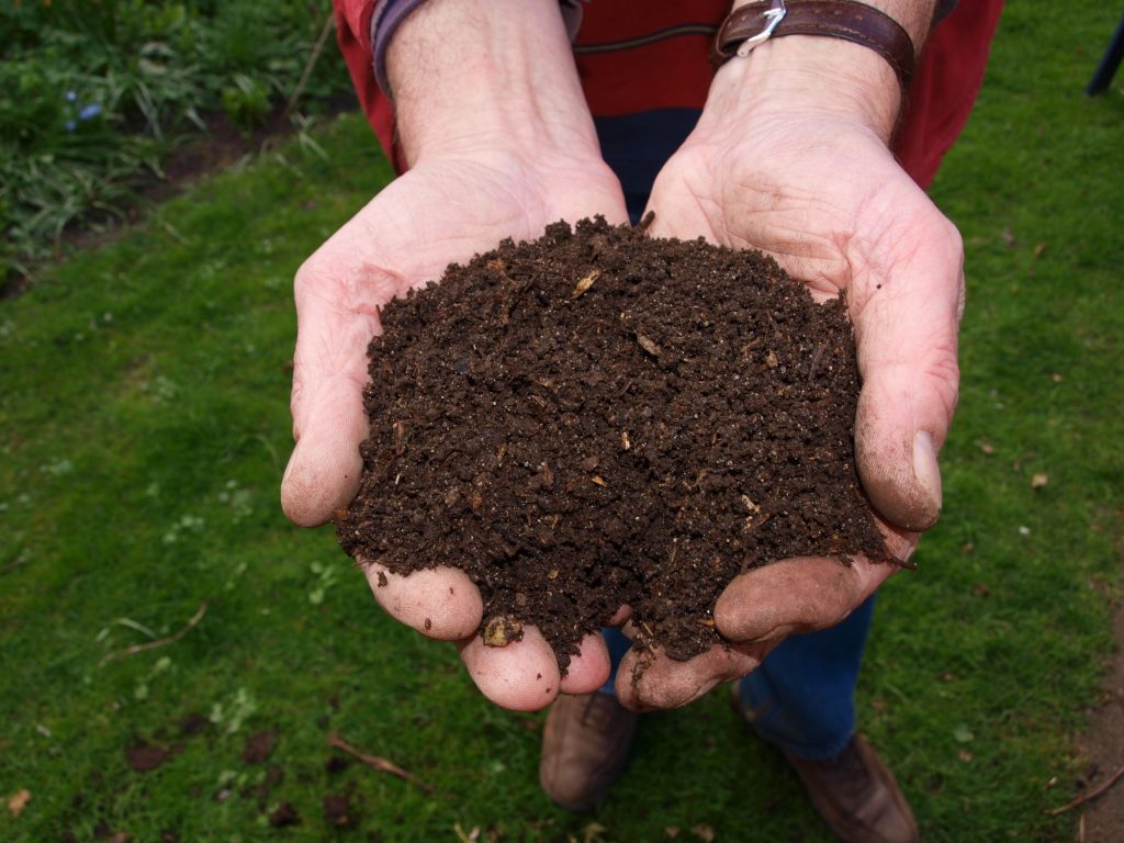 Mulch vs Compost What's the Difference and Which Is Better