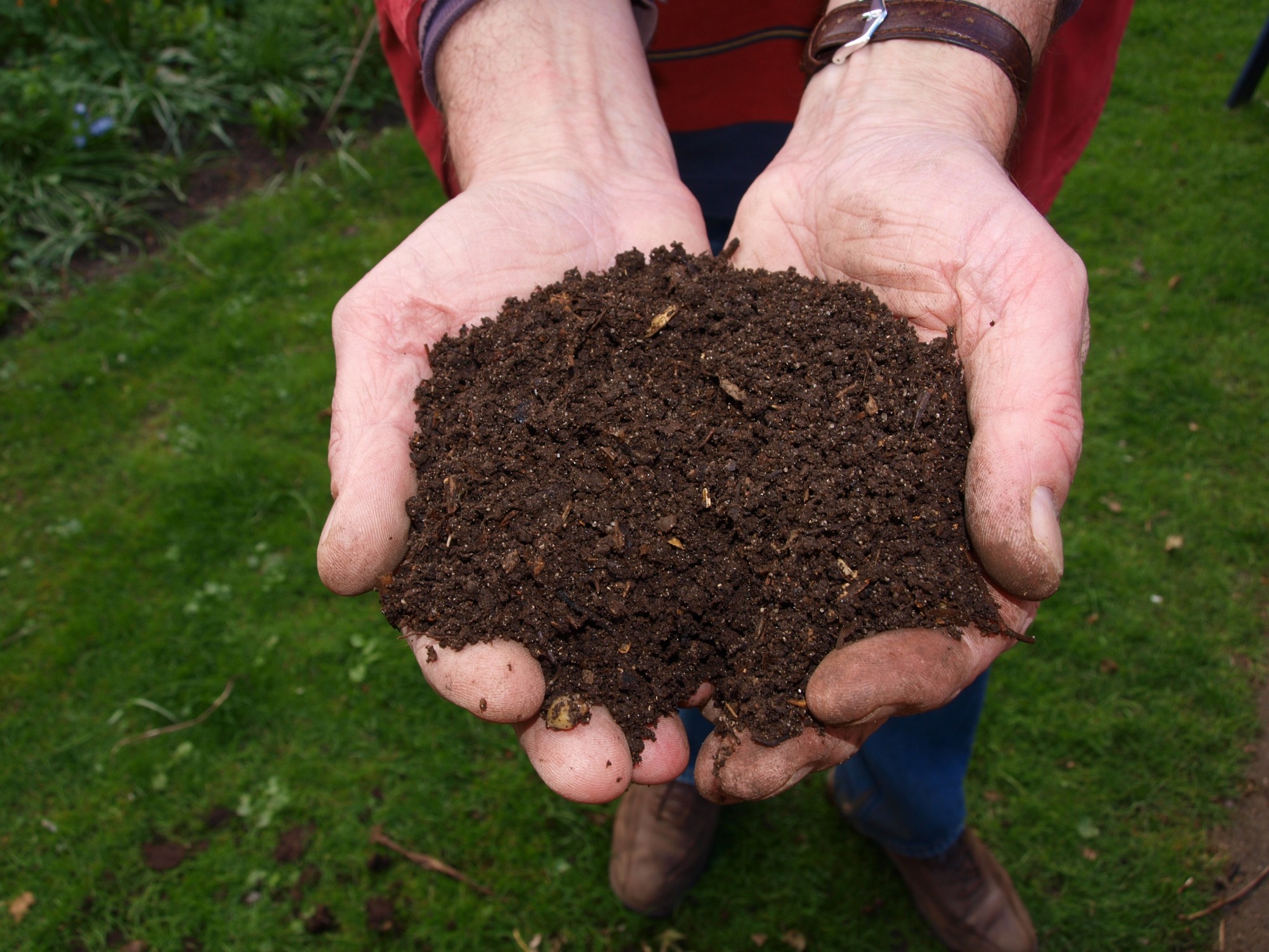Mulch vs Compost: What's the Difference and Which Is Better?